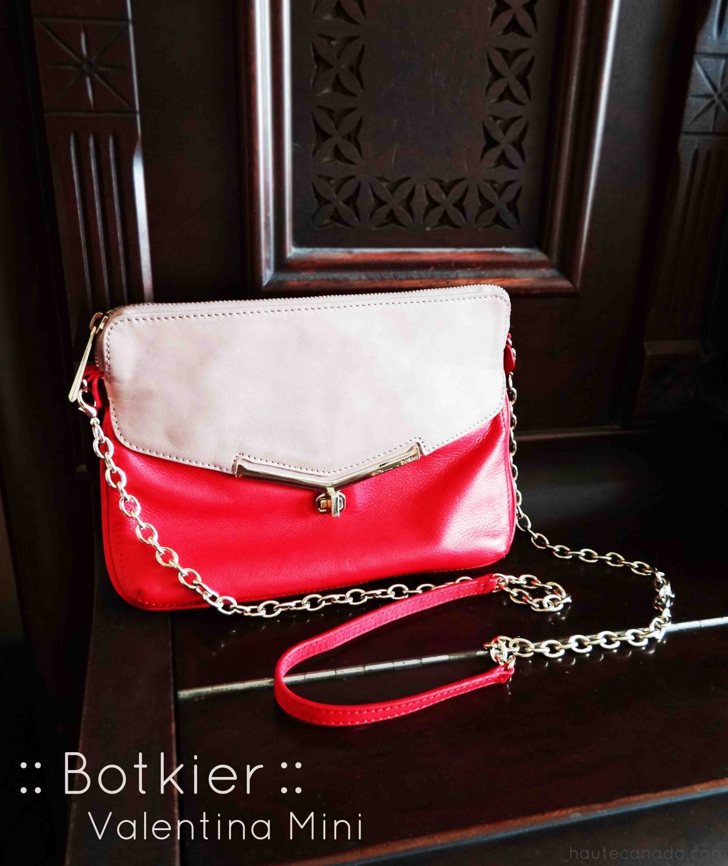 ‘Botkier Valentina Mini’ – my new one-of-a-kind purse!